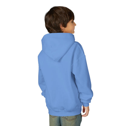 Youth Hoodie — Red blue CFW